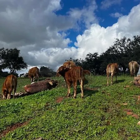 Herdade Do Castanheiro Lagos A