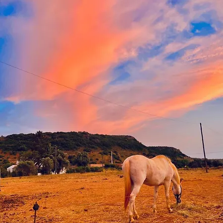 Herdade Do Castanheiro Lagos A Bensafrim