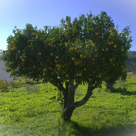 Herdade Do Castanheiro Lagos A شقة Bensafrim
