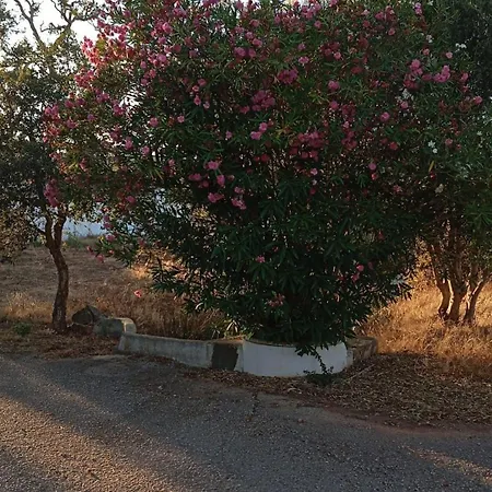 Herdade Do Castanheiro Lagos A *