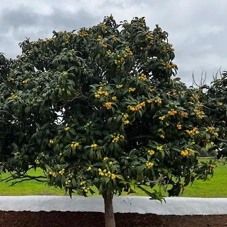 شقة Herdade Do Castanheiro Lagos A Bensafrim