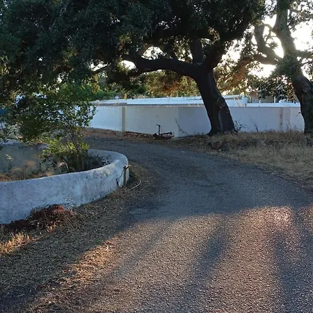 Herdade Do Castanheiro Lagos A Bensafrim