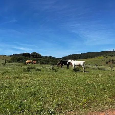 Herdade Do Castanheiro Lagos A