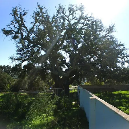 Herdade Do Castanheiro Lagos A شقة *