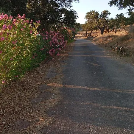 شقة Herdade Do Castanheiro Lagos A Bensafrim
