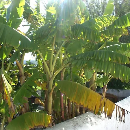 Herdade Do Castanheiro Lagos A شقة