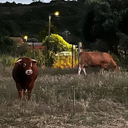 شقة Herdade Do Castanheiro Lagos A